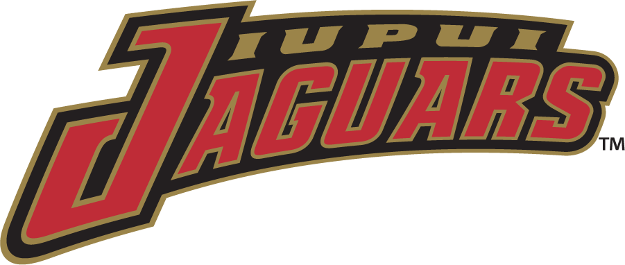 IUPUI Jaguars 1998-2007 Wordmark Logo iron on transfers for clothing